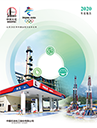 2020年度报告